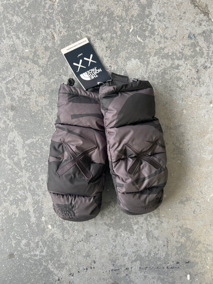 NEW Kaws/The North Face Gloves