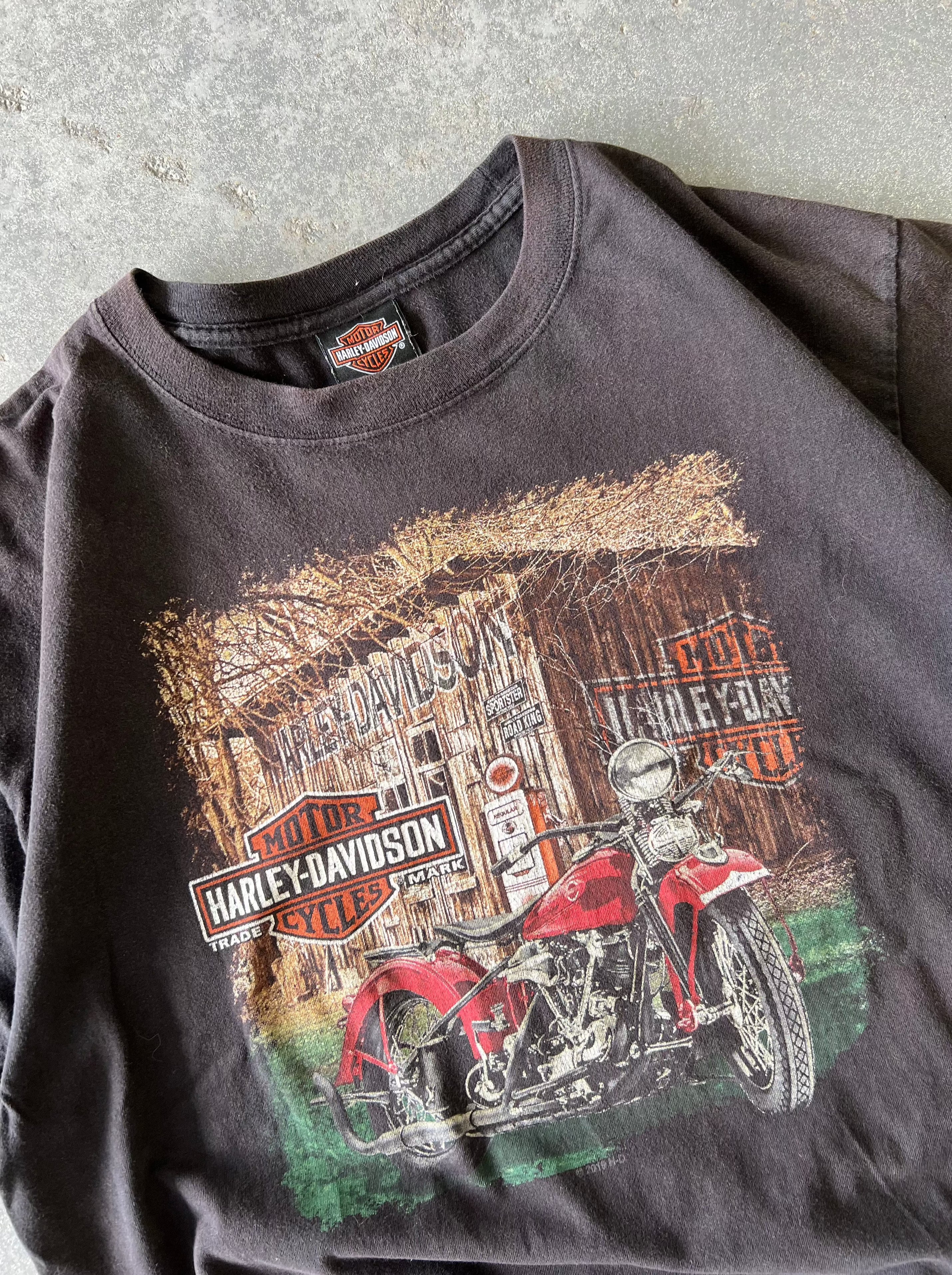 Harley Davidson Mt.Ranier Black tee - Sz L