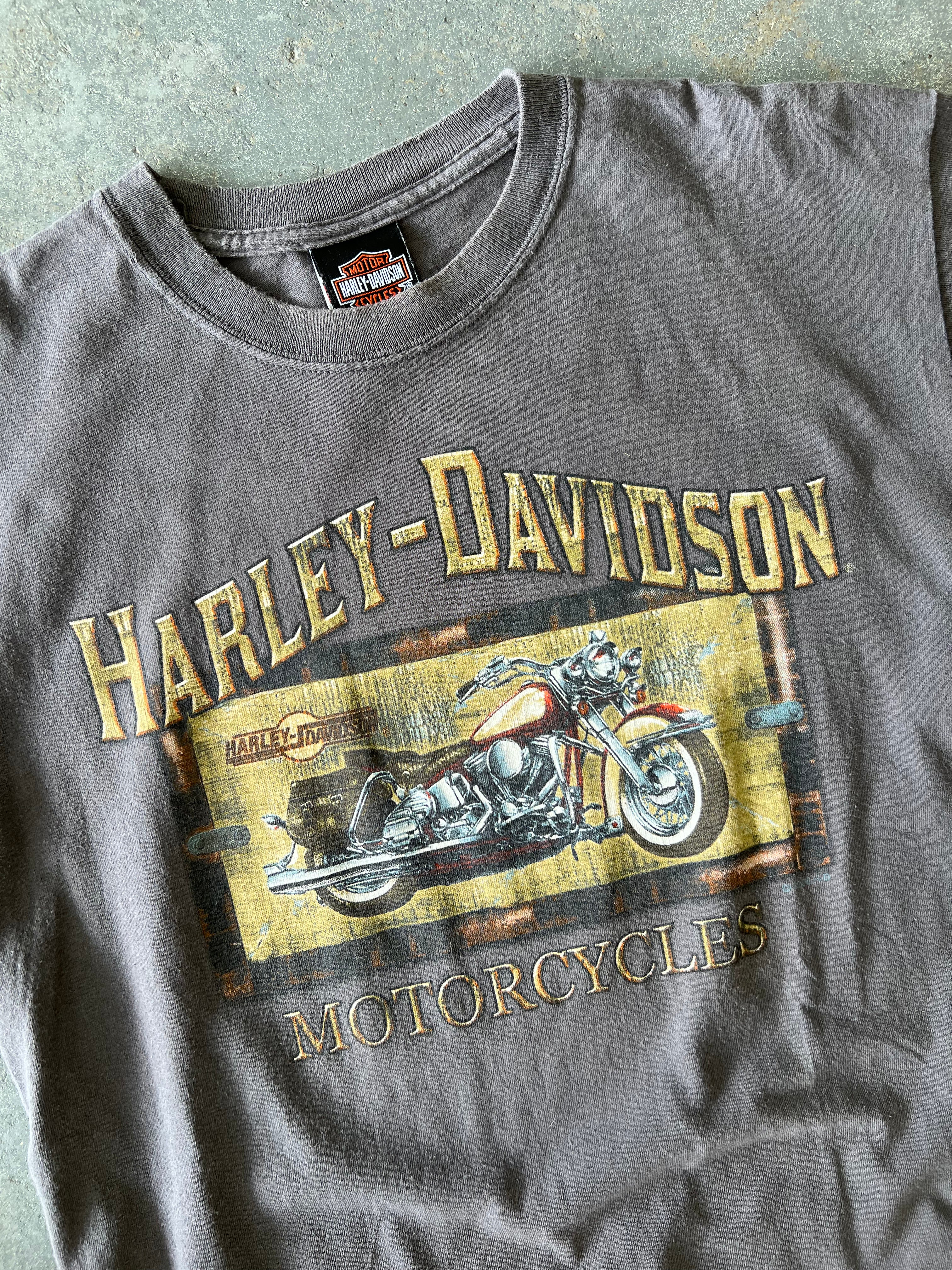 Y2K Harley Davidson Edmonton Grey tee - Sz M